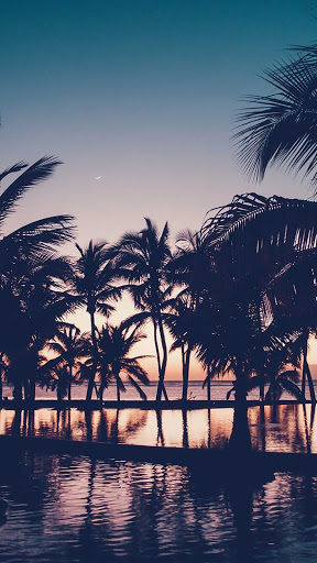 Summer Wallpapers Screen 2