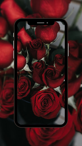 Flower Aesthetic Wallpaper