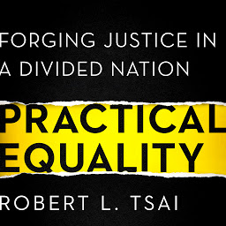 Obraz ikony: Practical Equality: Forging Justice in a Divided Nation