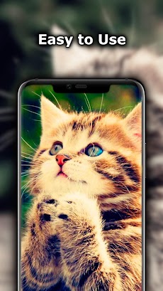 Cat Wallpaper 猫の壁紙 Androidアプリ Applion