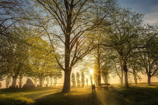 Landscape - Jigsaw Puzzles Screen 3