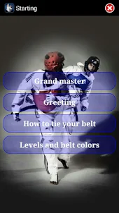 Taekwondo WTF