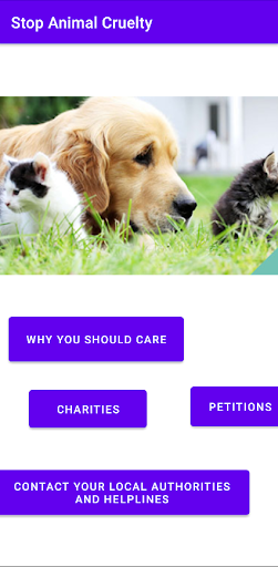 Stop Animal Cruelty Screen 2