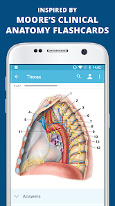 Imágen 5 USMLE Clinical Anatomy android