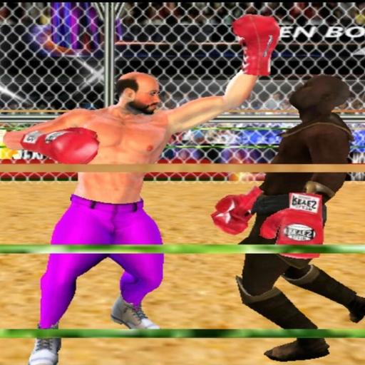 Punch Boxer - Boxing Fights -