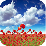 1023 Flowers Live Wallpapers icon