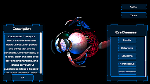 Human Eye - Anatomy Screen 2