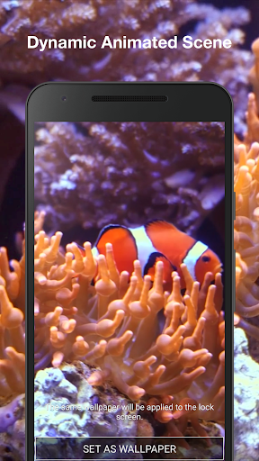 Aquarium Live Wallpaper Screen 2