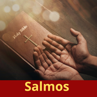 OraçãoApp - Salmos Screen 3