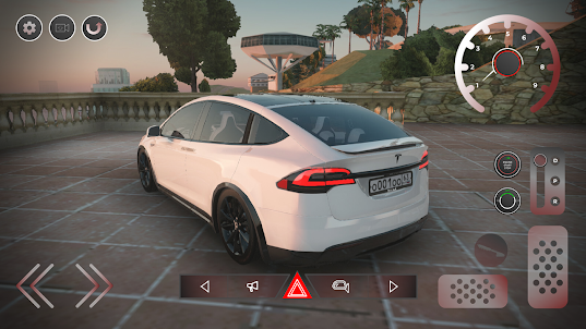 Model X: Electro Cars Tesla