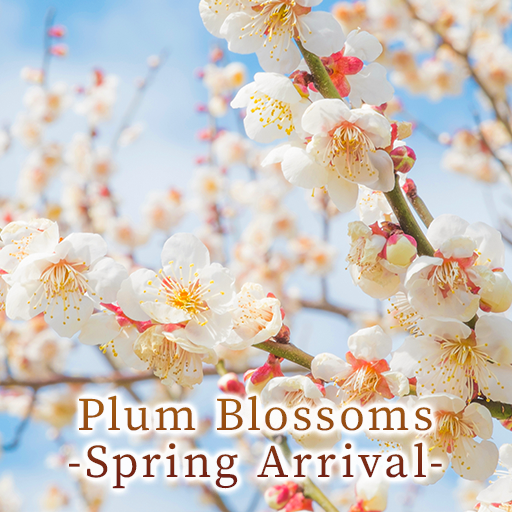 Plum Blossoms -Spring Arrival- Logo