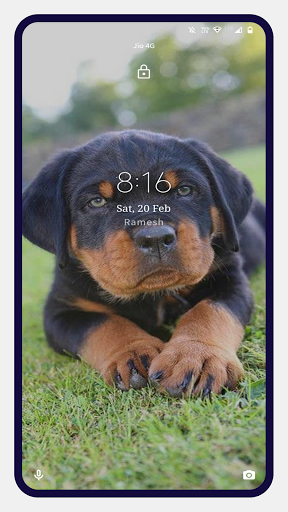 Rottweiler Dog Wallpapers Screen 3