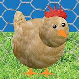 Chicken Pet Game icon