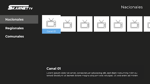 Skarnet TV Screen 2