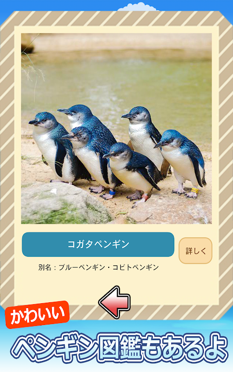 釣りペンギン +のおすすめ画像5