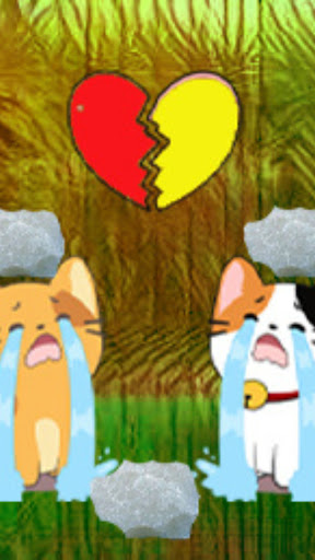 My cat gallery Screen 2