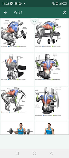 GYM : Fitnes & Body Building Screen 3