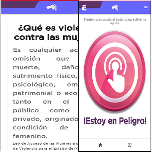 Paso a Paso Screen 2