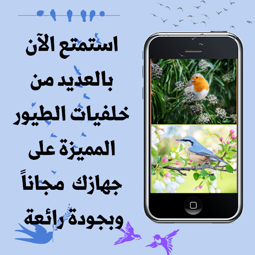 خلفيات طيور للموبايل Screen 2