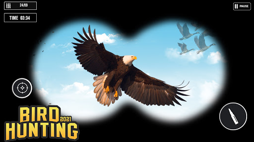 Bird Hunting 2021 New Sniper Hunter games 2021