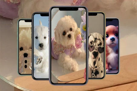 Puppy Wallpaper in HD