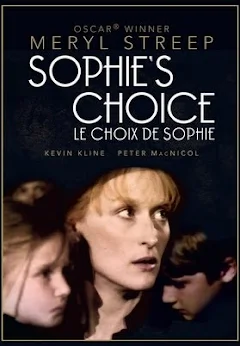 Le choix de Sophie DVD