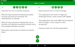 screenshot of Swahili - English Translator