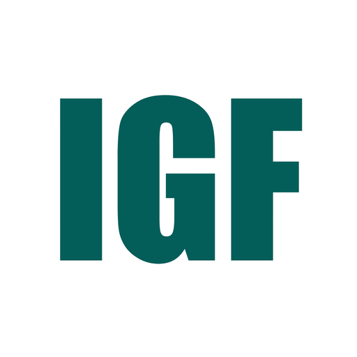 UN IGF  Icon