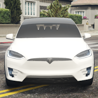 Electric Tesla X Car City Race