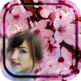 Cherry Blossom Photo Frames icon