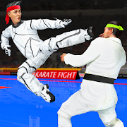 Karate Master KungFu Boxing Final Punch Fighting