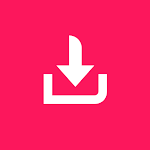 Cover Image of Download Video Downloader For TikTok  APK