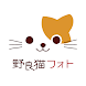 野良猫フォト - Androidアプリ