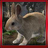 Bunny Hop Simulator icon