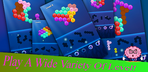CoralCraft Hexa : Puzzle Screen 3