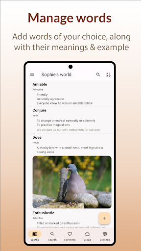 Create Dictionary Screen 3