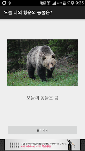 동물 이상형 월드컵 Screen 3