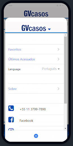 GVcasos Screen 3