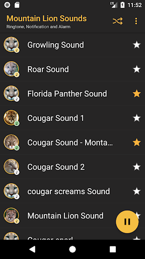 Cougar and Mountain Lion Sound Screen 2