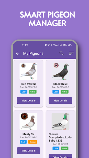 PigeonProfile - Loft Manager