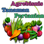 Cover Image of Tải xuống Vegetable Crop Agribusiness an  APK