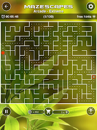 Mazescapes Amazing Maze