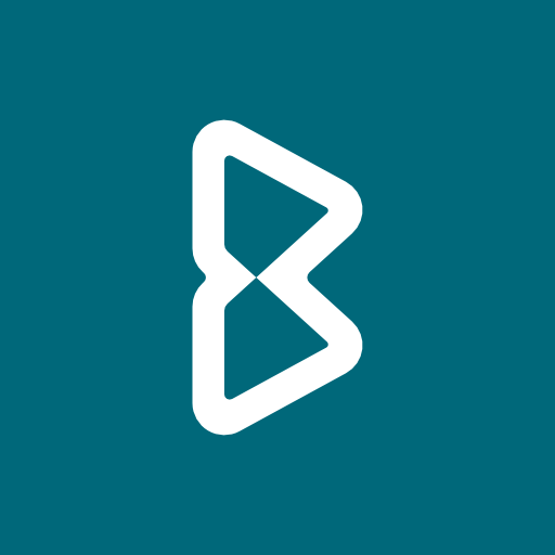 Bonisoft logo