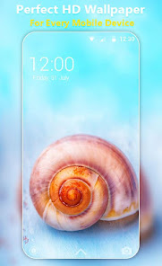 HD Seashell Wallpapers 1.2 APK + Mod (Unlimited money) untuk android