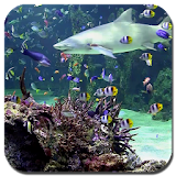 Aquarium live wallpaper icon
