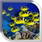 Ocean Fish Live Wallpaper icon