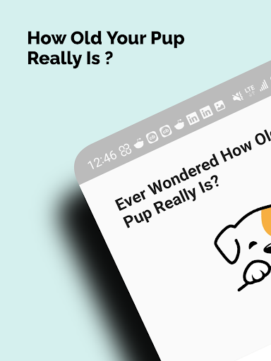 Android application Dog Age Calculator-Human Years screenshort