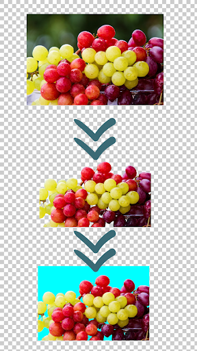 Automatic Background Eraser Screen 3