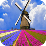 3D Windmill Wallpaper Pro icon