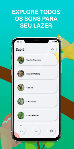 Brazilian Sabiá bird Songs Screen 3